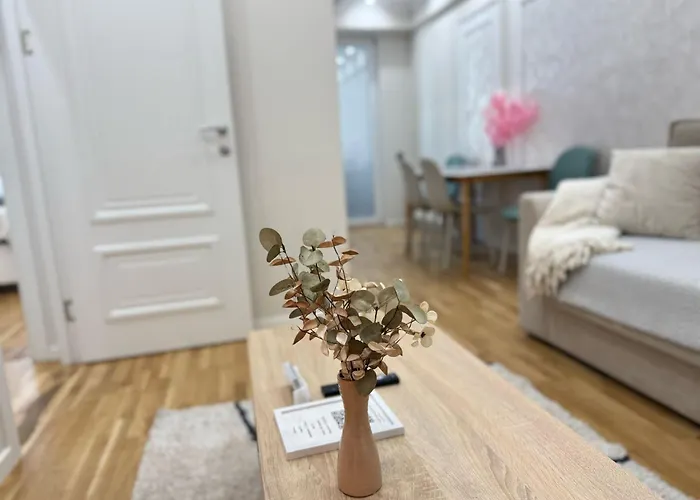 Large Central Top Apartment